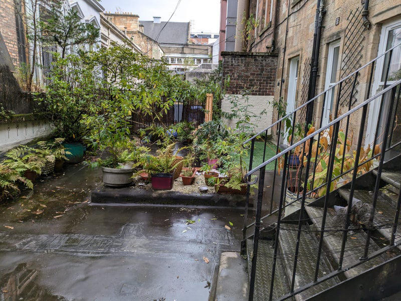 Terrace