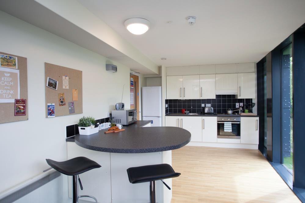 Shared Kitchen & Dining Area