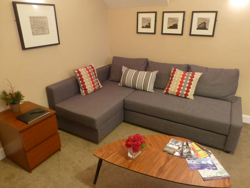 The living room with double sofabed