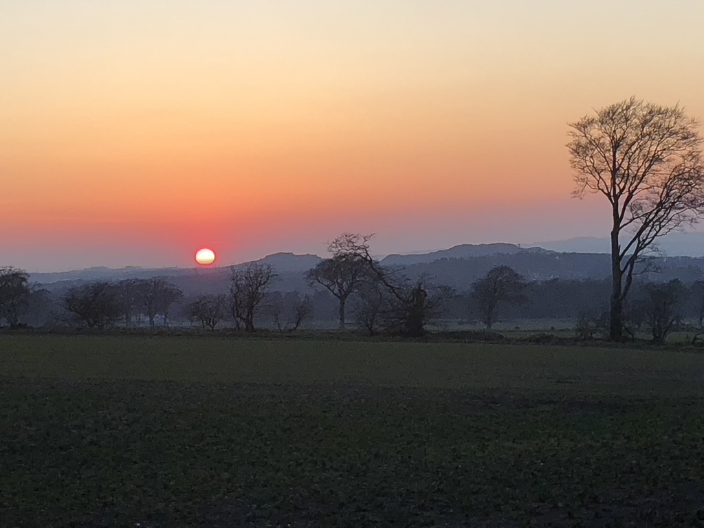 local view