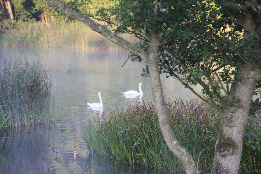 Nature Reserve