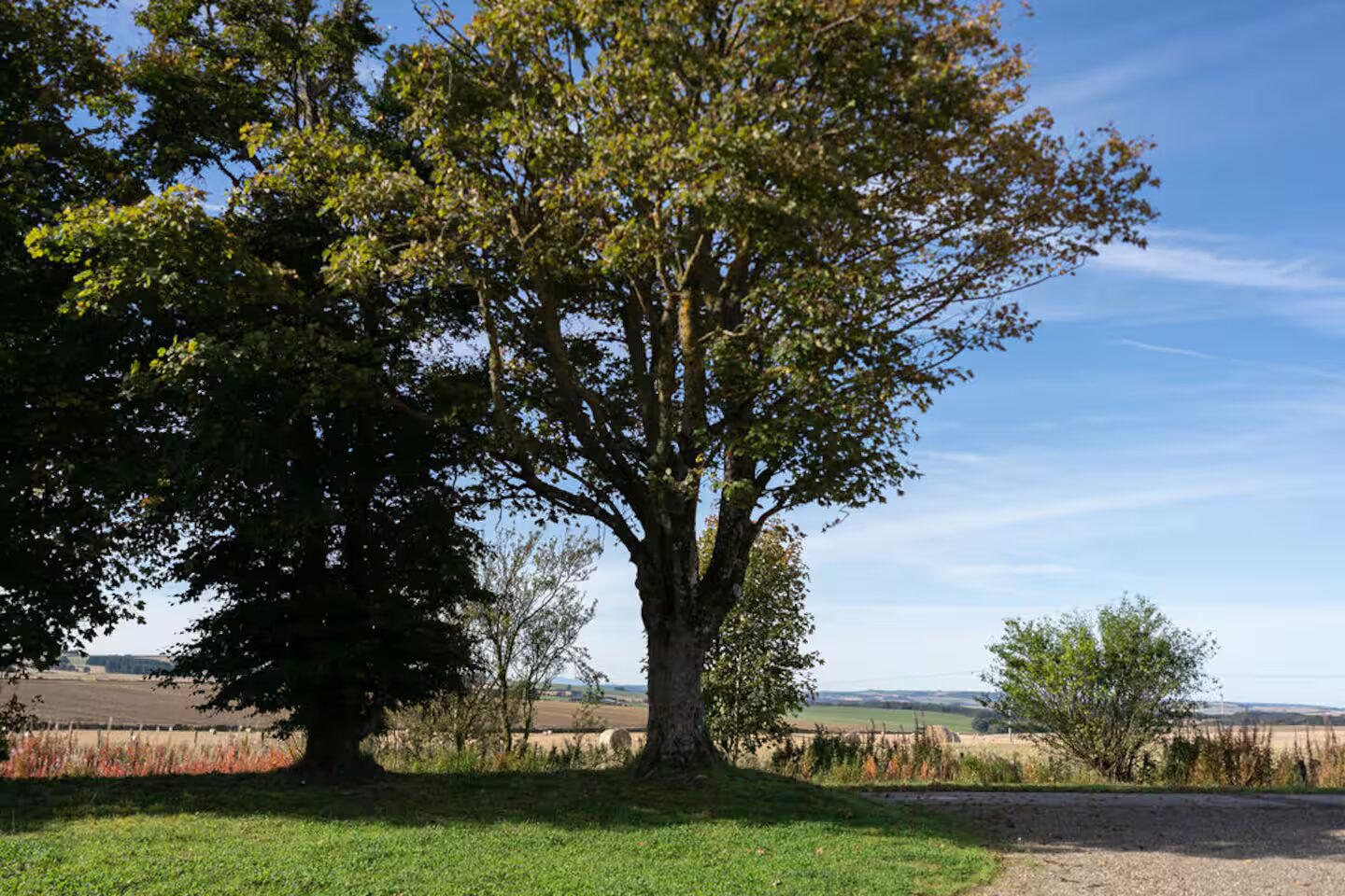 Surrounding countryside 