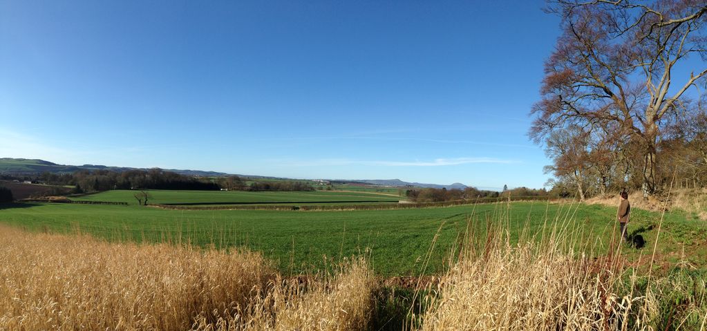 Farm fields