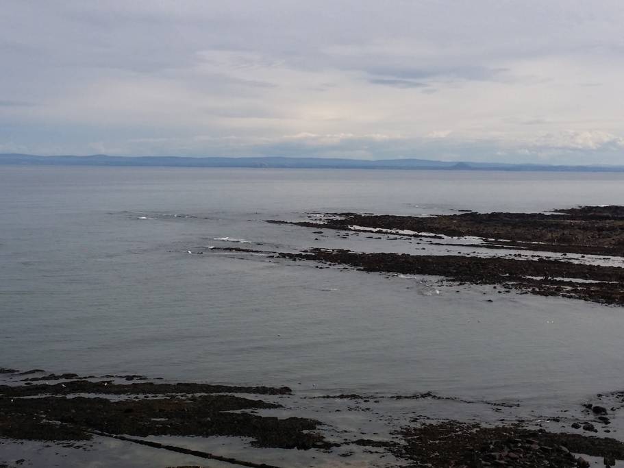 Rugged coastline of Crail