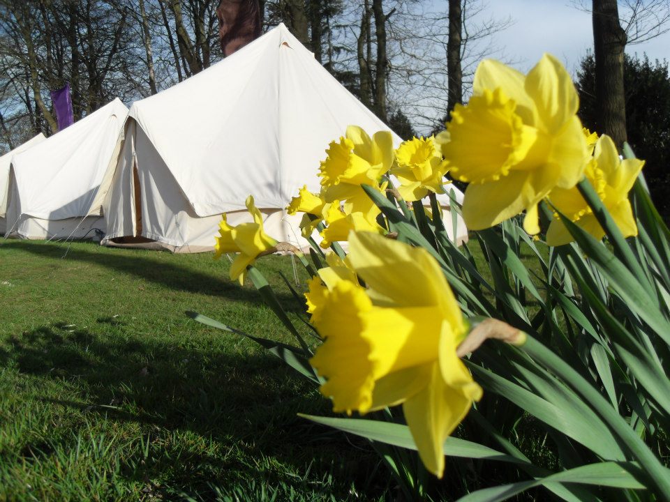 Camp site