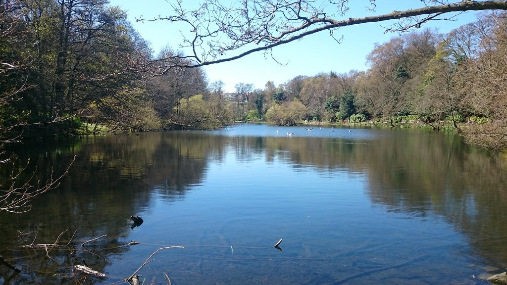 Blackford Pond