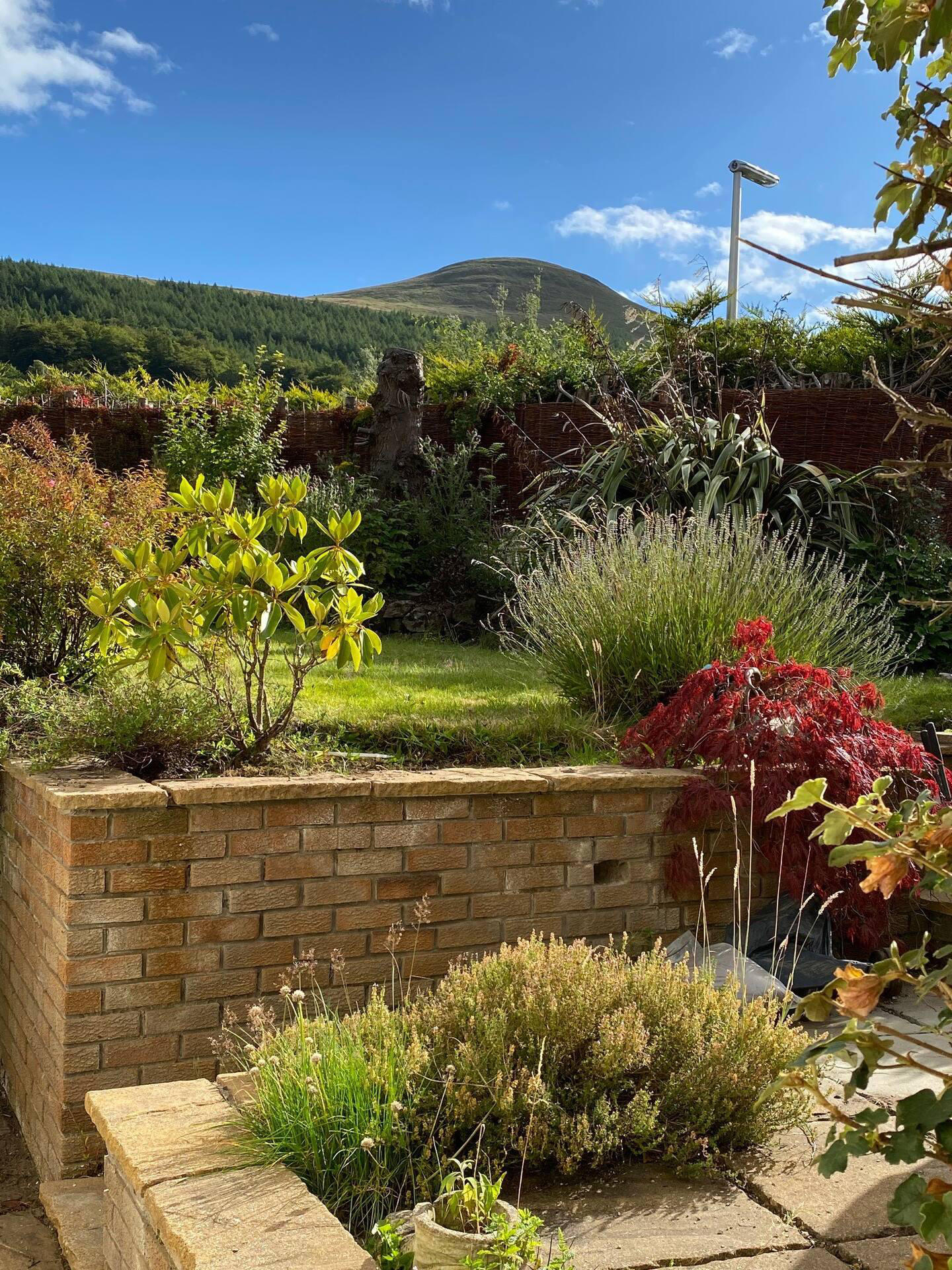 View from Kitchen to Falkland Hill