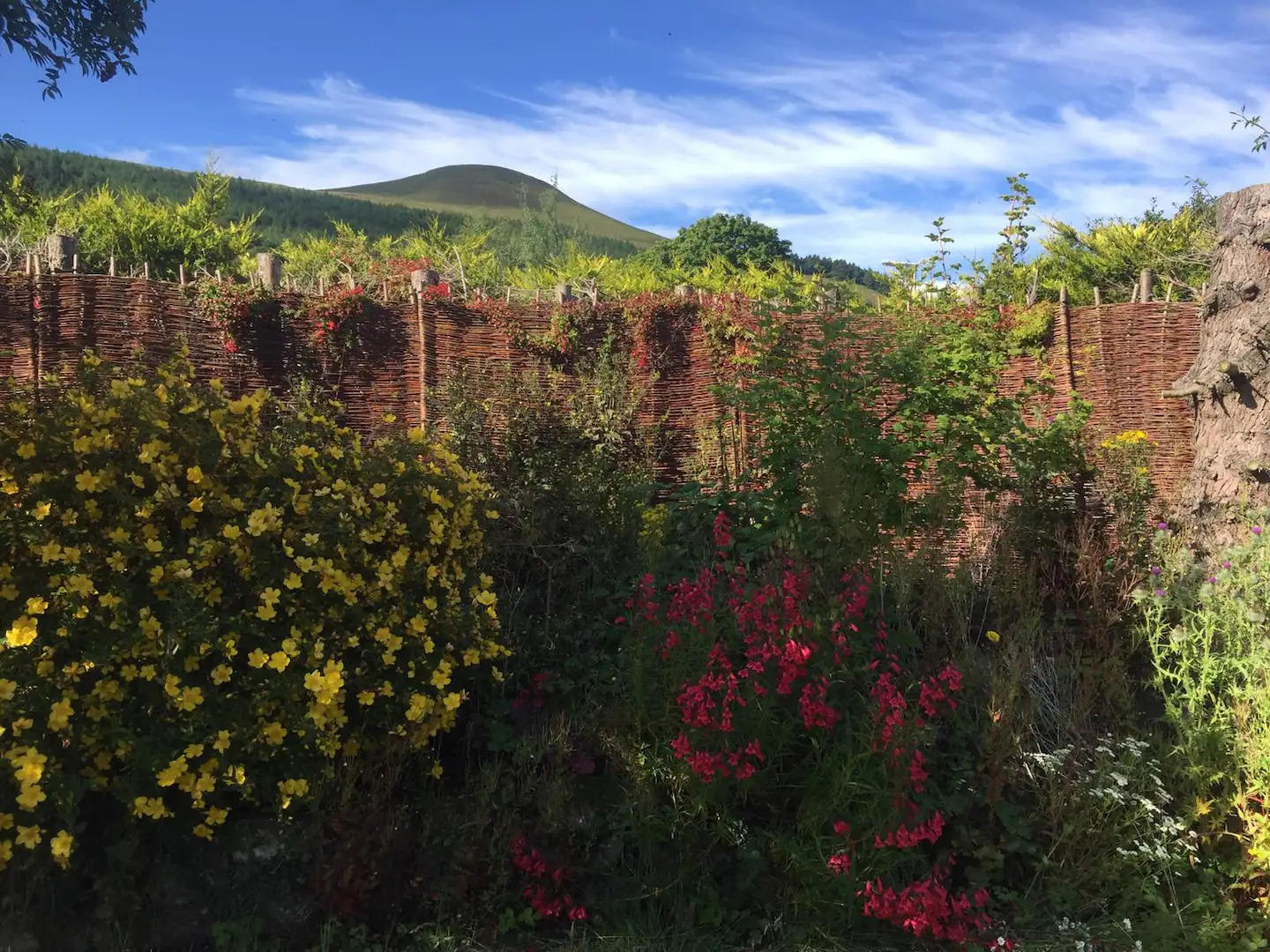 View to Falkland Hill