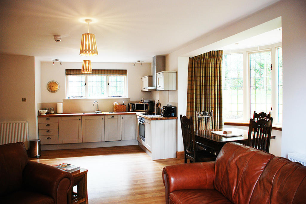 Living Room & Kitchen Area