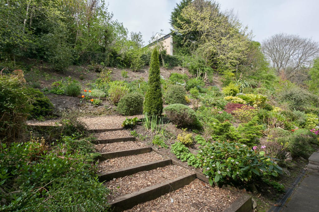 Garden area