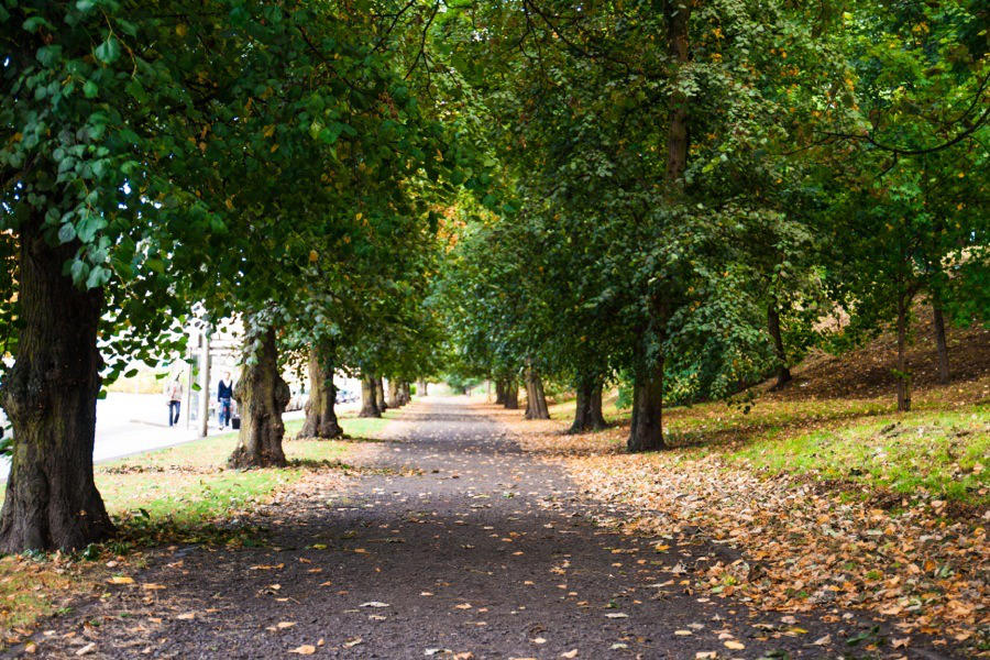 Leafy walk to Princes Street