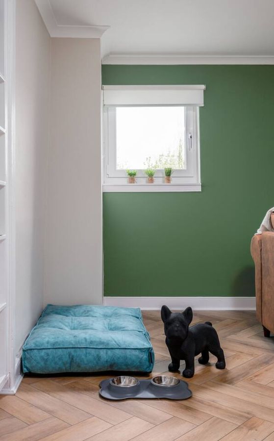 Dog bed