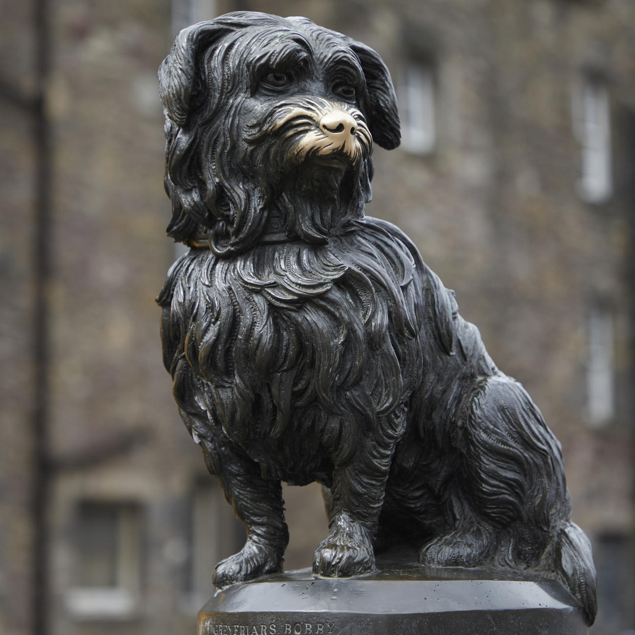 Greyfriars Bobby (nearby)